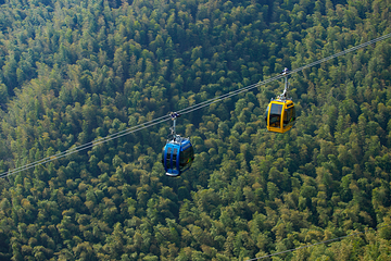 天目湖南山竹海第 85 张图片