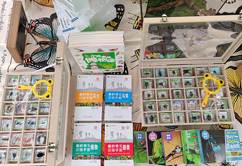 拾光山谷第 27 张图片