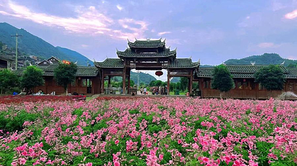 青曼蔓萝花园第 1 张图片