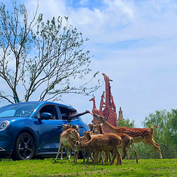 宿迁森迪野生动物世界