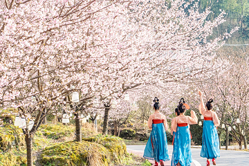 明月山花海原居第 1 张图片