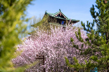 北京世园国际旅游度假区第 4 张图片
