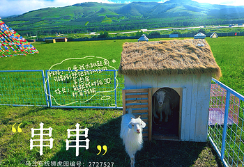 乌兰布统草原狮虎园第 1 张图片