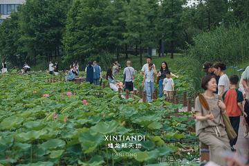 上海蟠龙新天地第 7 张图片