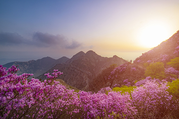 大黑山景区第 18 张图片