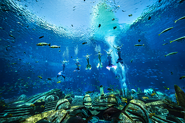 三亚亚特兰蒂斯失落的空间水族馆第 109 张图片