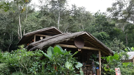 Cacaoyan Restaurant第 1 张图片