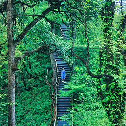 龙苍沟国家森林公园