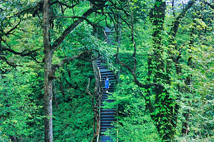 龙苍沟国家森林公园