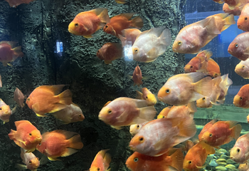临汾海昌海洋探索馆第 81 张图片