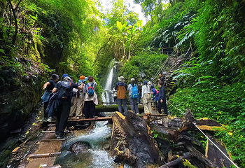 高黎贡山阿咪莫雨林景区第 2 张图片