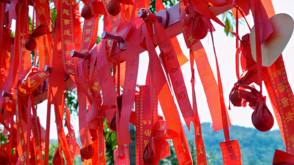 蓝田紫林旅游度假区第 86 张图片