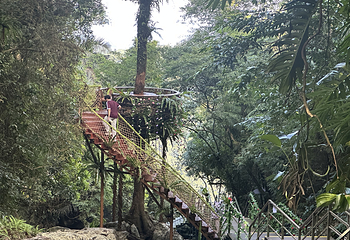 海南百花岭热带雨林文化旅游区第 89 张图片
