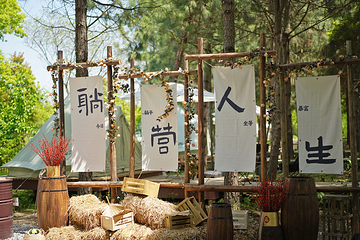 大象露营Elephant Camping第 15 张图片