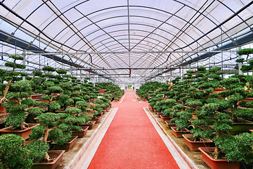 南通奇妙农场第 7 张图片