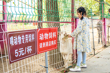 九真桃源第 29 张图片