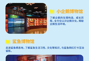 奥韦柯酋第 275 张图片