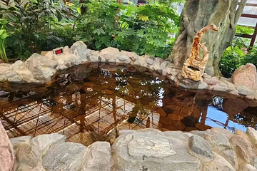 雁鸣湖恐龙谷凌云温泉第 10 张图片