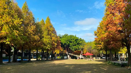 沐卉亲子农场第 1 张图片