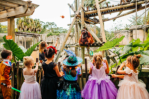 坦帕罗瑞动物园