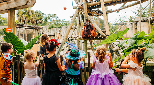 坦帕罗瑞动物园