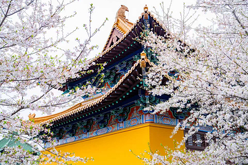三国水浒景区(中央电视台无锡影视基地)第 43 张图片