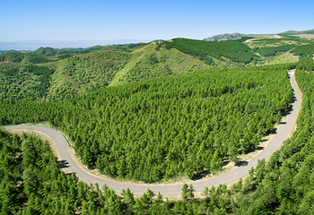 大青山国际旅游度假区第 22 张图片
