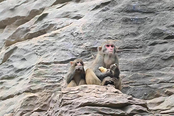 狮子关旅游区第 54 张图片