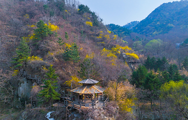 九如山休闲旅游度假区第 159 张图片