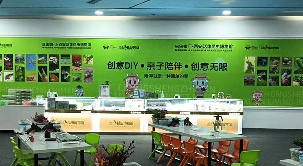 西安活体昆虫博物馆