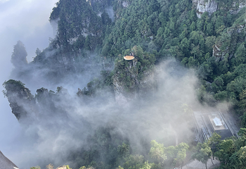 大瑶山盘王界景区第 68 张图片