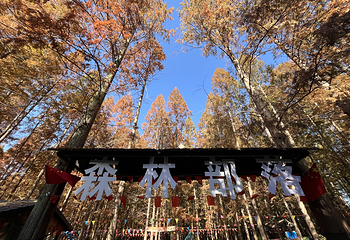 宝应湖国家湿地公园第 23 张图片