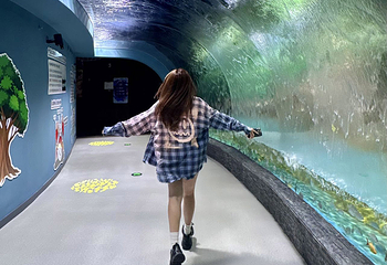 恒远海立方·中山海洋馆第 22 张图片