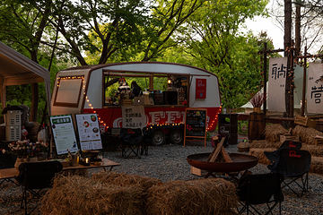 大象露营Elephant Camping第 12 张图片
