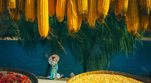 新安江山水画廊