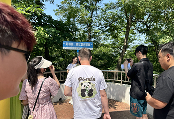 中山公园第 20 张图片