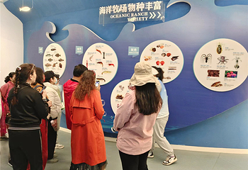 爱伦湾海洋牧场第 36 张图片