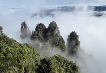 大瑶山盘王界景区第 52 张图片