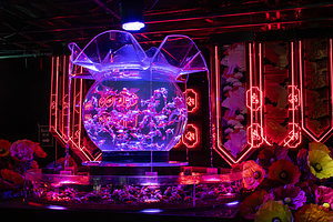 银座艺术水族馆美术馆