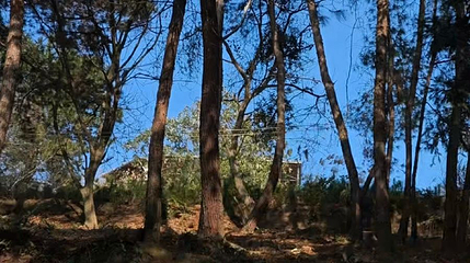 千里江山飞跃丛林营地第 1 张图片