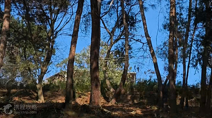 千里江山飞跃丛林营地第 3 张图片