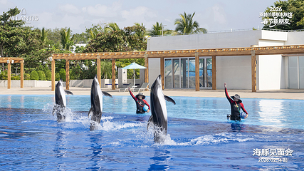 三亚亚特兰蒂斯失落的空间水族馆第 10 张图片