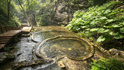 王府竹海度假旅游区第 25 张图片