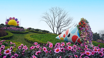 巴滨花艺园第 6 张图片