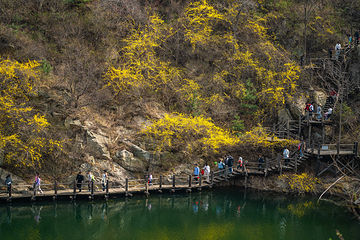 九如山休闲旅游度假区第 230 张图片