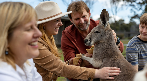 猎人谷野生动物园