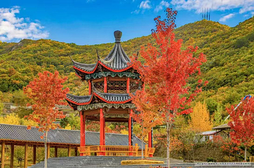 天秀山森林公园第 1 张图片