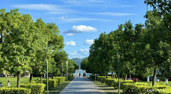 深圳湾公园海风运动公园露营地