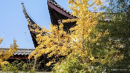 西园戒幢律寺-归源寺第 1 张图片