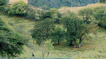 香格里拉娜姆措生态公园